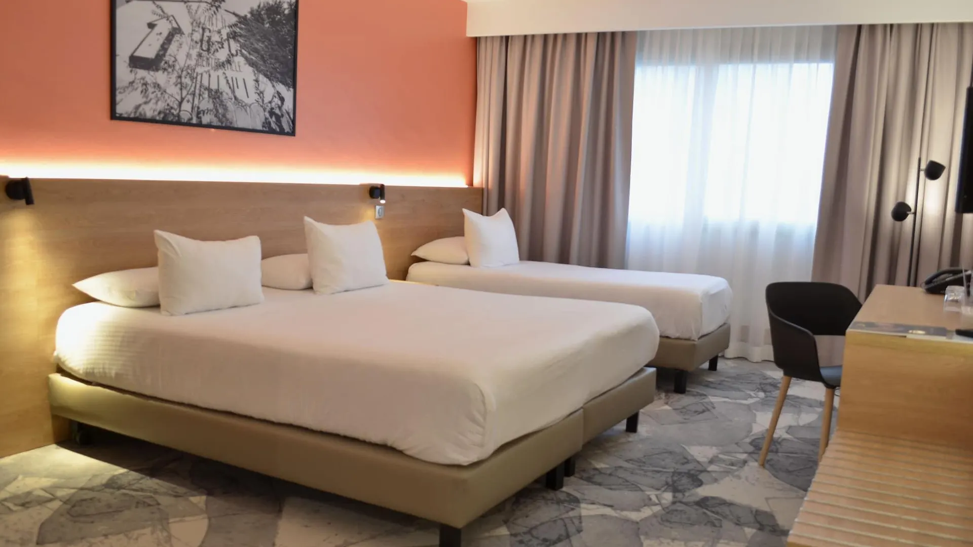 Hotel Des Congres Villeurbanne Francia